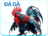 Đá gà trực tiếp LU88 với các trận đấu hấp dẫn mỗi ngày
